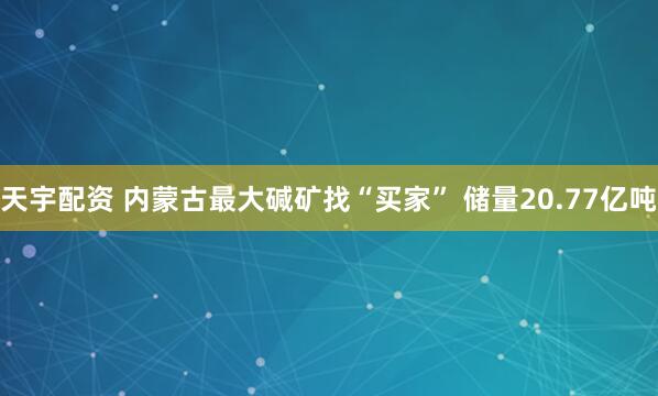 天宇配资 内蒙古最大碱矿找“买家” 储量20.77亿吨