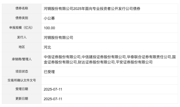 长江云配 河钢股份100亿元小公募债项目获深交所受理