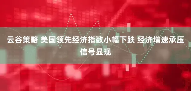 云谷策略 美国领先经济指数小幅下跌 经济增速承压信号显现