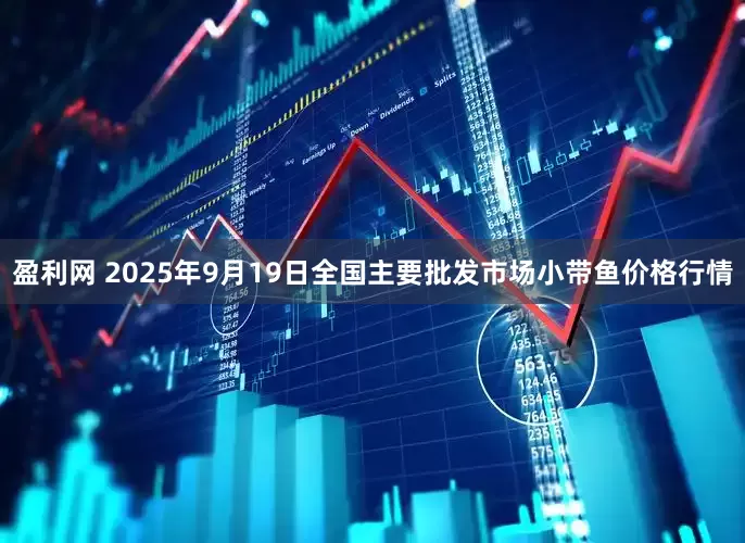 盈利网 2025年9月19日全国主要批发市场小带鱼价格行情